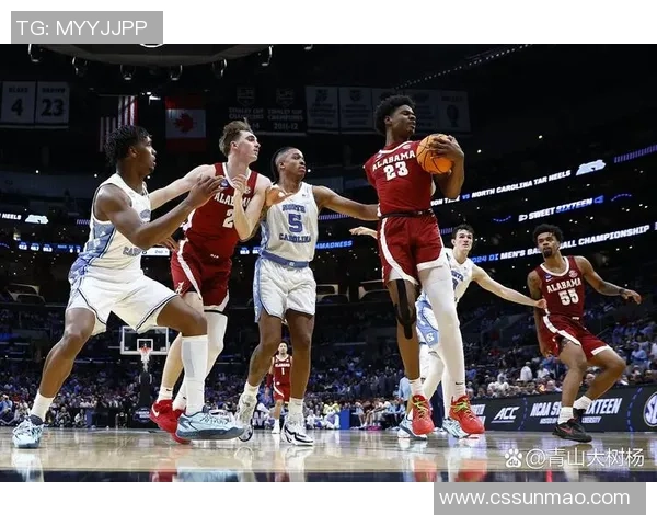 305老鹰与76人激战正酣球迷期待精彩对决与惊喜表现