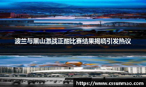 波兰与黑山激战正酣比赛结果揭晓引发热议