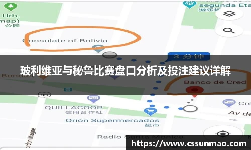 玻利维亚与秘鲁比赛盘口分析及投注建议详解